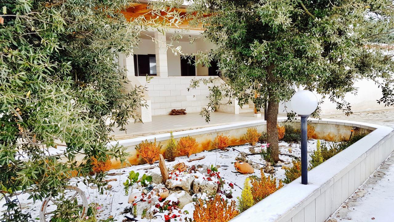 אלברובלו Villa Wonder מראה חיצוני תמונה