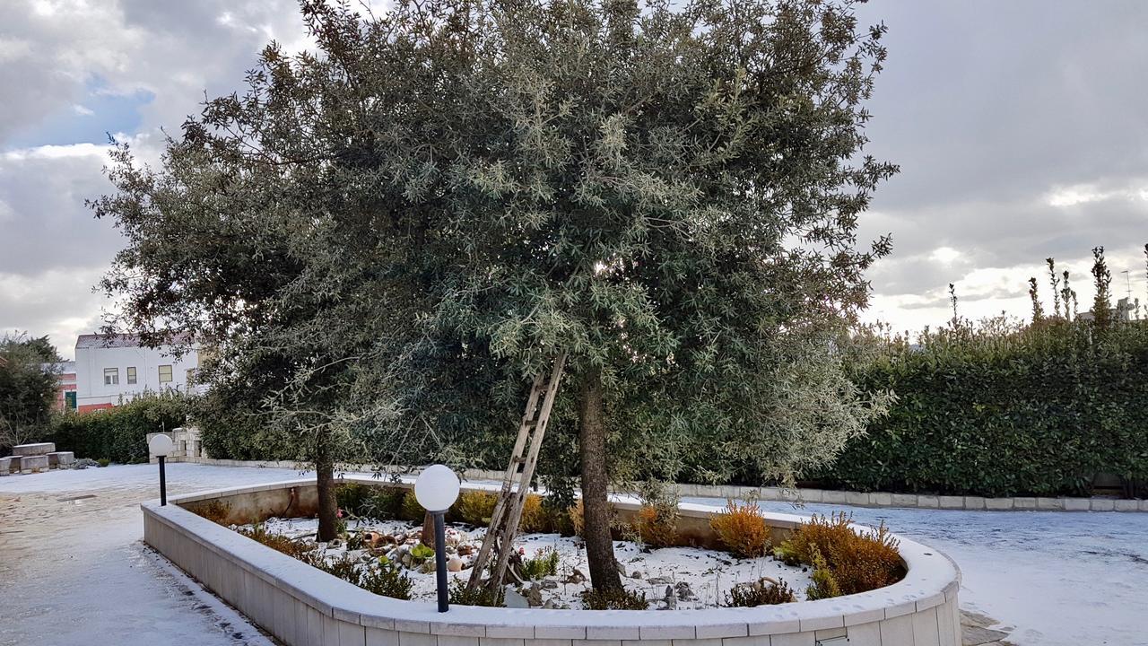 אלברובלו Villa Wonder מראה חיצוני תמונה